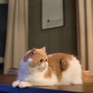 Meet your Posher, Mu